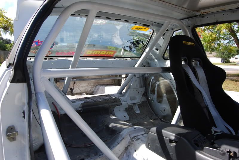 cage1.jpg