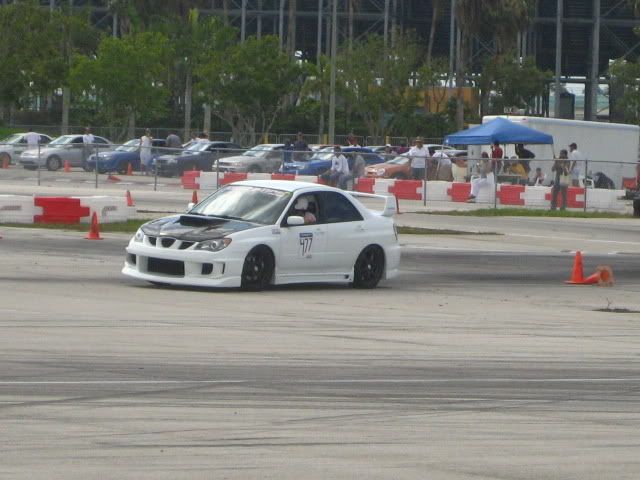 IMG_2567.jpg