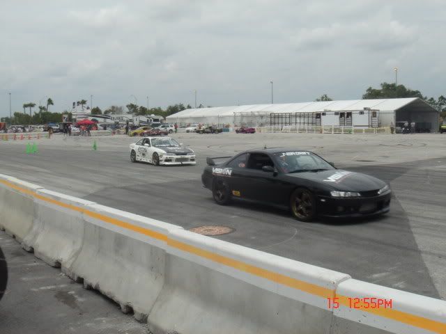 DSC01551.jpg