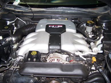 h6.jpg