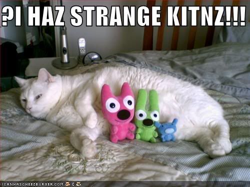 ihazstrangek.jpg