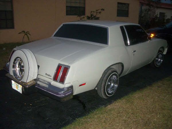 Picture103.jpg
