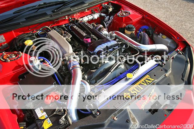 nobs15-06.jpg