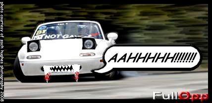 sigjeepstercomplete.jpg