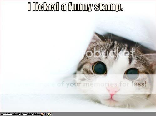lickedafunny.jpg