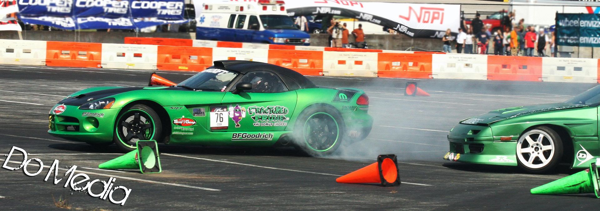 FDViper.jpg
