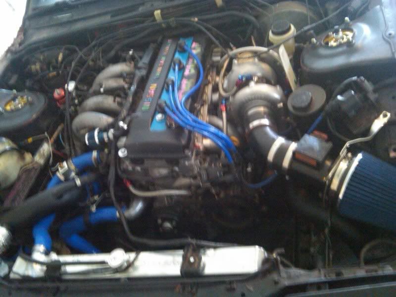IMG00051-20100823-1822.jpg
