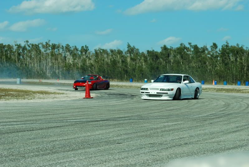 DSC_0229.jpg