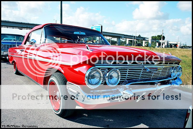 Impala014.jpg